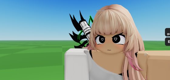 Captura de Roblox: un avatar de pelo rosa y blanco de primer plano.