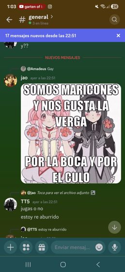 Captura de un canal #general con un meme de contenido sexual explícito. [contenido adulto]